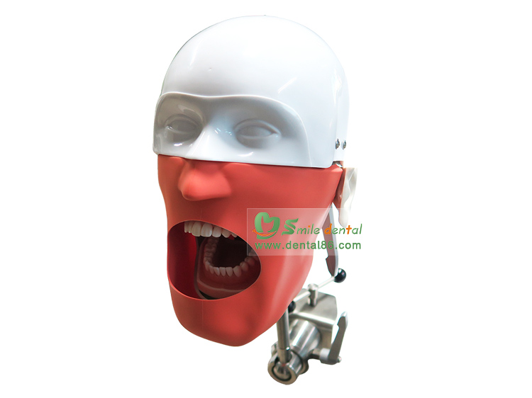 Phantom Head with Face Mask